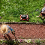 How to Prepare Your Lawn for Spring & Spring Lawn Care Tips?