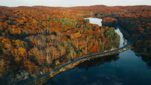 Aerial view of autumn leaves in New York