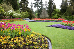 A beautiful landscaped garden of flowers