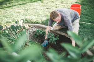 man conducting lawn care